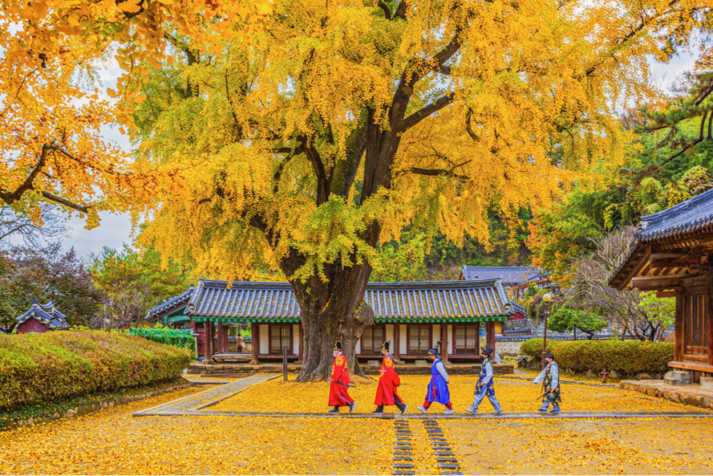 Autumn foliage trip in Korea with friends